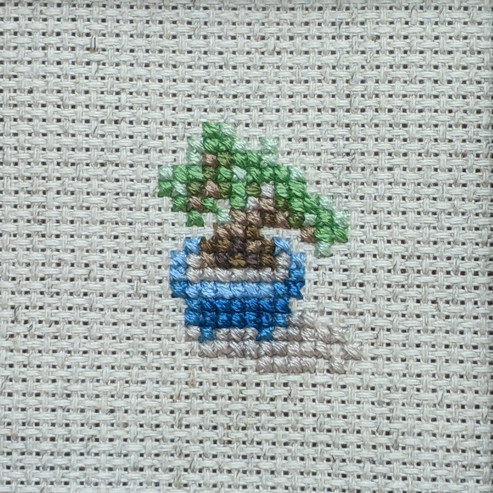 Plum Bonsai - Botanical Series 01