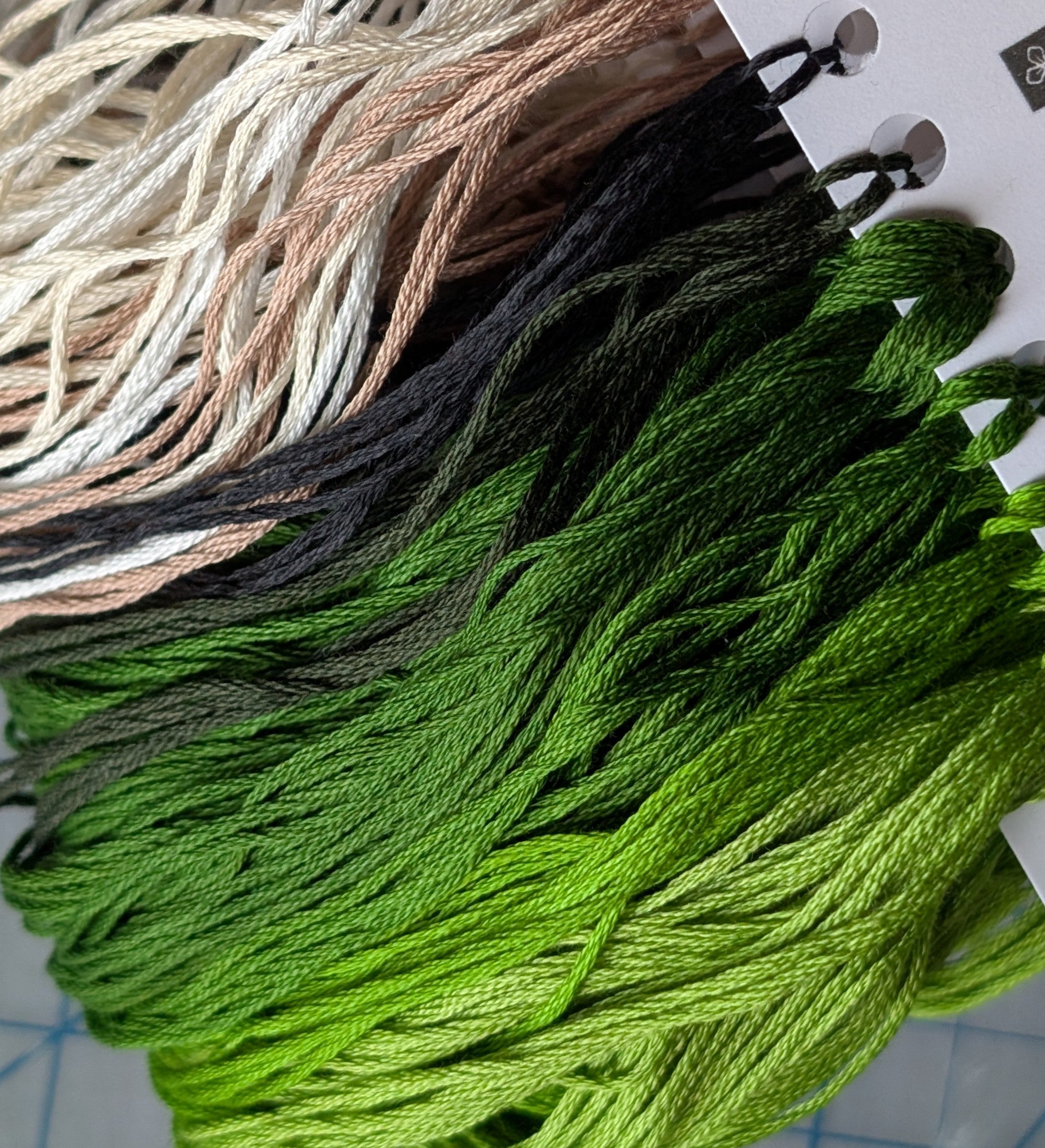 Vacant Frog - Cross Stitch Kit/Pattern